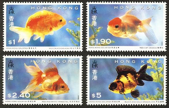 Goldfish - Made in Hong Kong