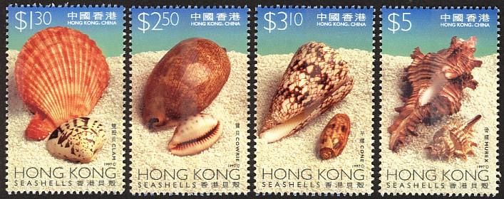 香港貝殼