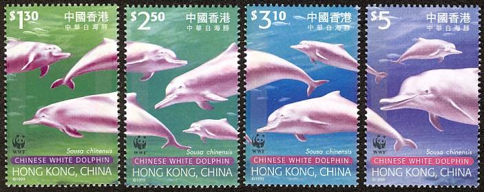 中華白海豚